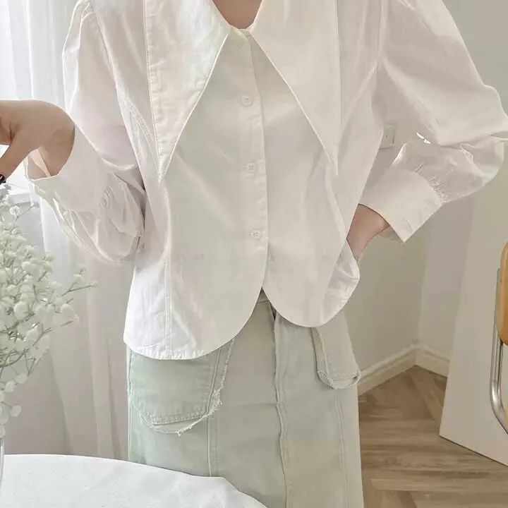 Модная простая универсальная шифоновая блузка с воротником-стойкой для женщин, весна-осень, новая корейская модель, для работы и повседневной носки, укороченный топ
Модная простая универсальная шифоновая блузка с воротником-стойкой для женщин, весна-осень, новая корейская модель, для работы и повседневной носки, укороченный топ