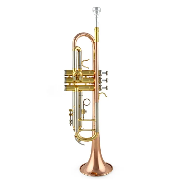 Trumpet Instrument, Adult Children Beginner Professional JYTR-M300G Trumpet Instrument
Trumpet Instrument, Adult Children Beginner Professional JYTR-M300G Trumpet Instrument