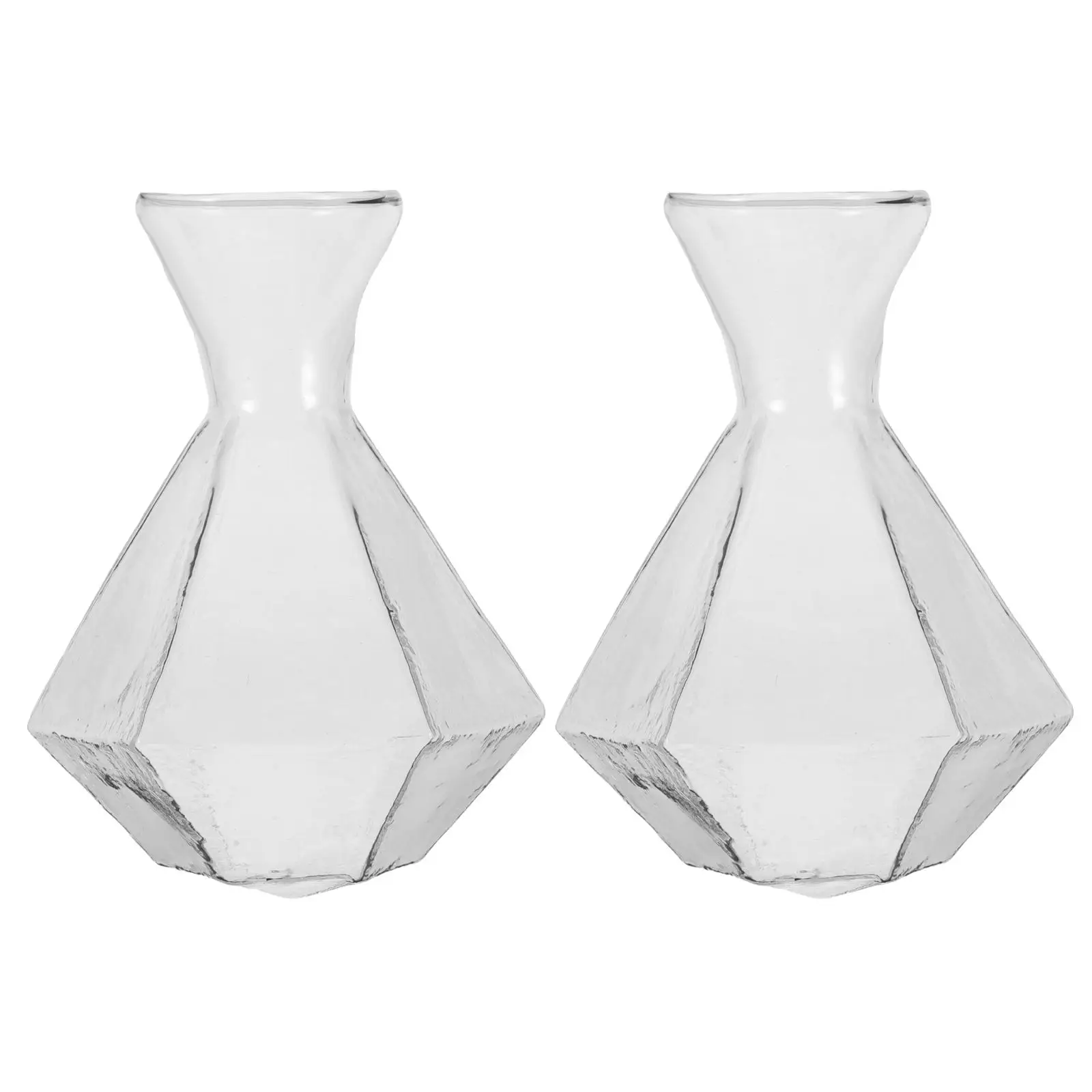 2 Pcs Glass Vase Boho Propagation Vases for Plants Transparent Unique Flower Coffee Table
2 Pcs Glass Vase Boho Propagation Vases for Plants Transparent Unique Flower Coffee Table