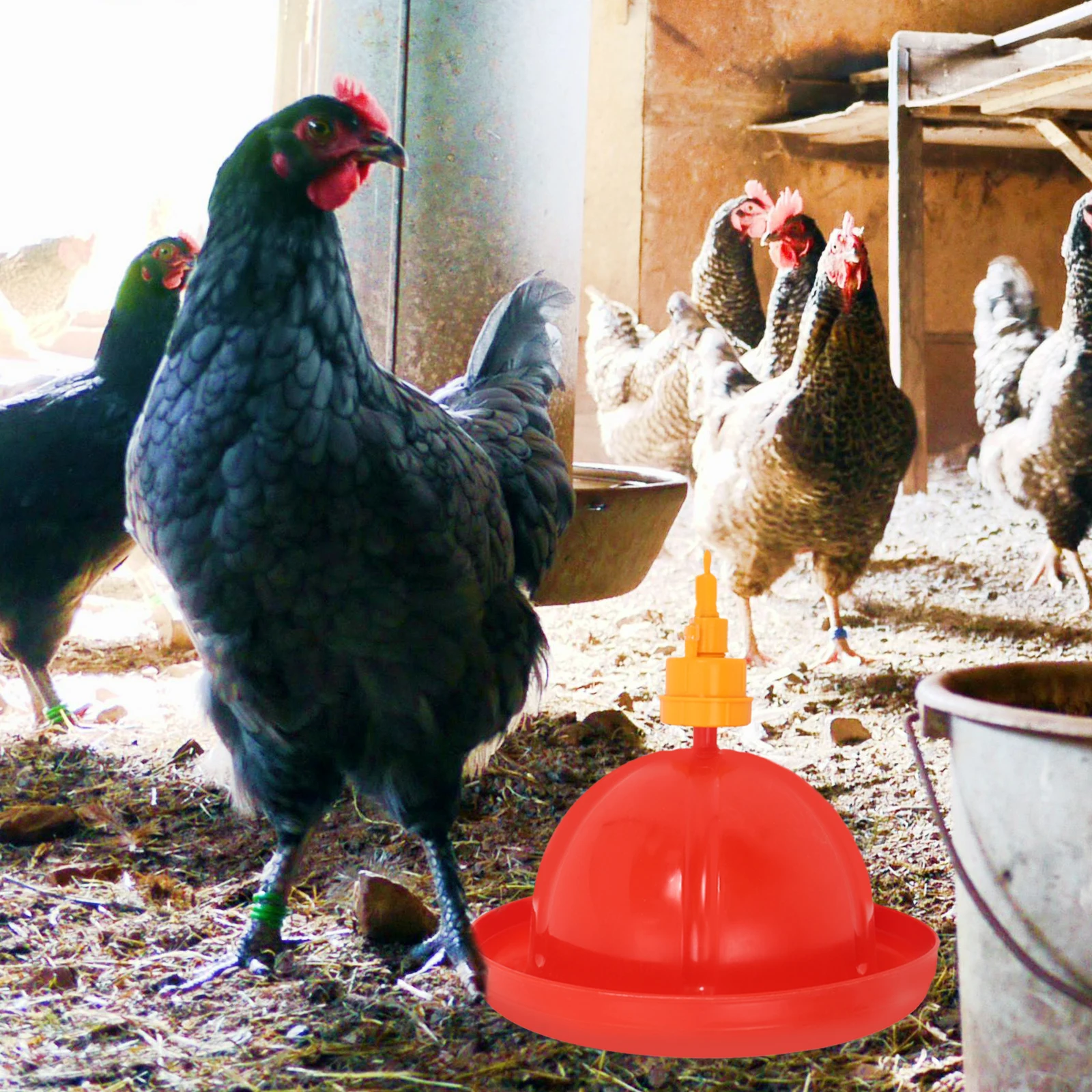 Duck Chicken Feeder Auto Watering System Bird Dispenser Supplies Coop Accessories Waterer and Kit
Duck Chicken Feeder Auto Watering System Bird Dispenser Supplies Coop Accessories Waterer and Kit