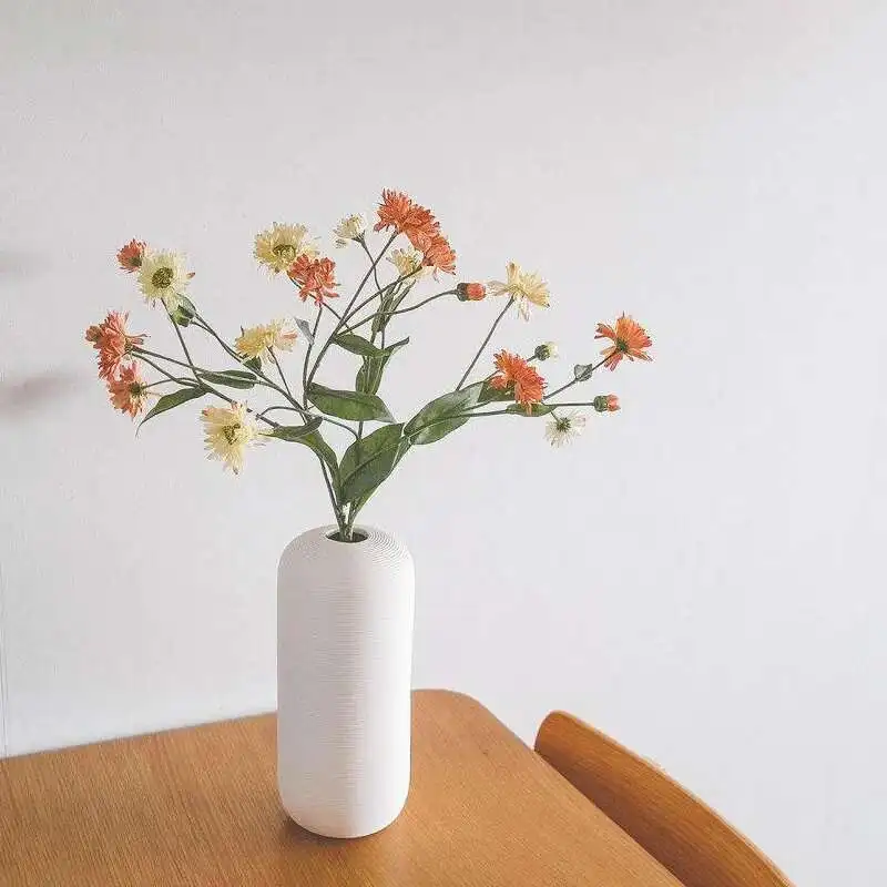 Nordic INS White Vase Creative Living Room, Gateway, Wine Cabinet, Ceramic Craft Decoration, Home Decoration, Quiet Style
Nordic INS White Vase Creative Living Room, Gateway, Wine Cabinet, Ceramic Craft Decoration, Home Decoration, Quiet Style
