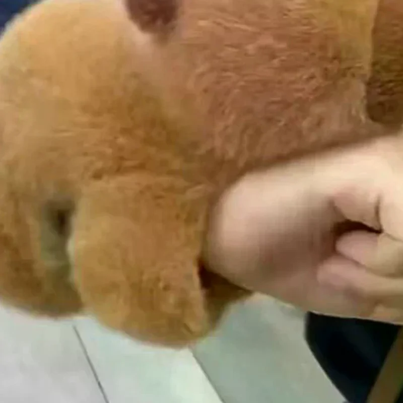 Bracelet Wrist Lying Down Doll Capybara Doll Snap Ring Cute Plush Toy Ugly Cute Doll
Bracelet Wrist Lying Down Doll Capybara Doll Snap Ring Cute Plush Toy Ugly Cute Doll
