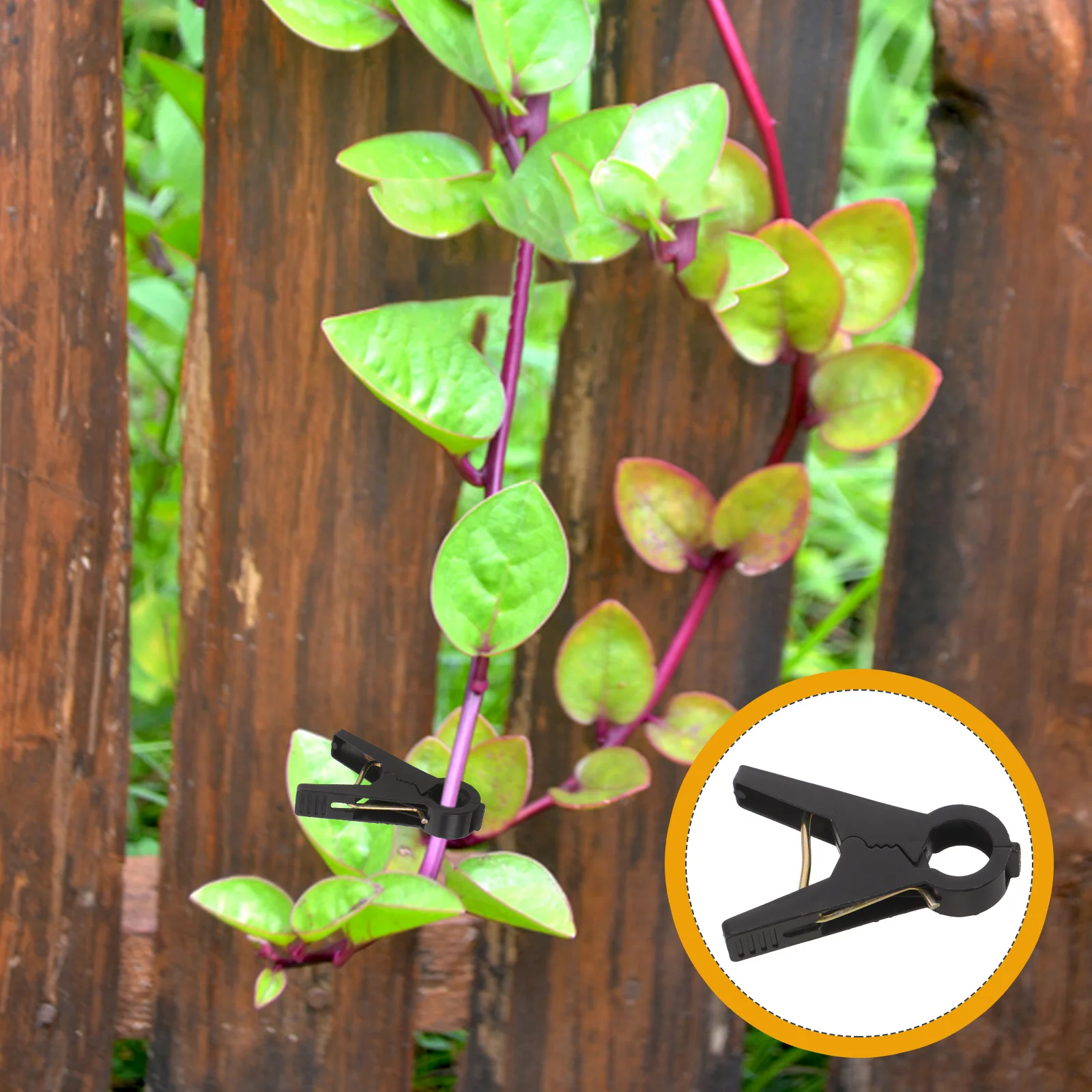 150 шт. зажимов для подвязки растений, пластиковые зеленые клипсы для вьющихся растений, многоразовые садовые фиксаторы для томатов, орхидей и вьющихся растений
150 шт. зажимов для подвязки растений, пластиковые зеленые клипсы для вьющихся растений, многоразовые садовые фиксаторы для томатов, орхидей и вьющихся растений
