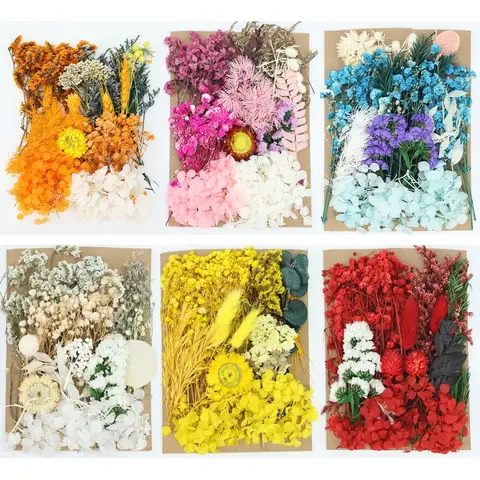 1Set Natural Plants Preserved Dried Real Flowers Material Epoxy Resin Candles Craft DIY Floral Materials Hydrangea Wedding Decor