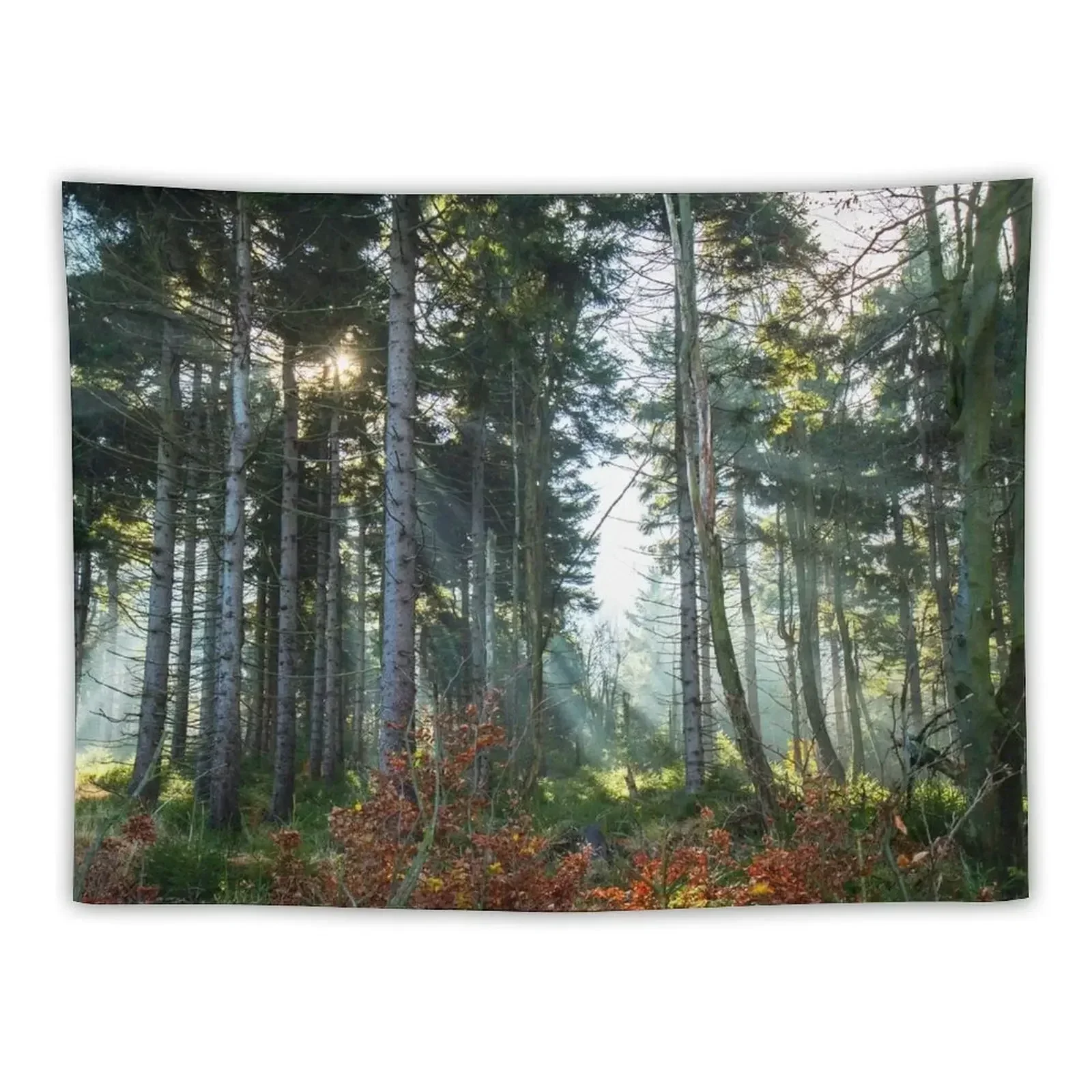 Great Owl Tapestry House Decor Home Decorations Wall Decor Decoration Pictures Room Wall Tapestry
Great Owl Tapestry House Decor Home Decorations Wall Decor Decoration Pictures Room Wall Tapestry