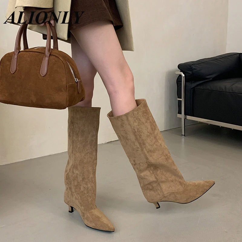 Alionly 2025 New Winter Women's Boots Simple Style Low Heel Pointed High Heel Boots Comfortable and Versatile Mid Heel Boots
Alionly 2025 New Winter Women's Boots Simple Style Low Heel Pointed High Heel Boots Comfortable and Versatile Mid Heel Boots