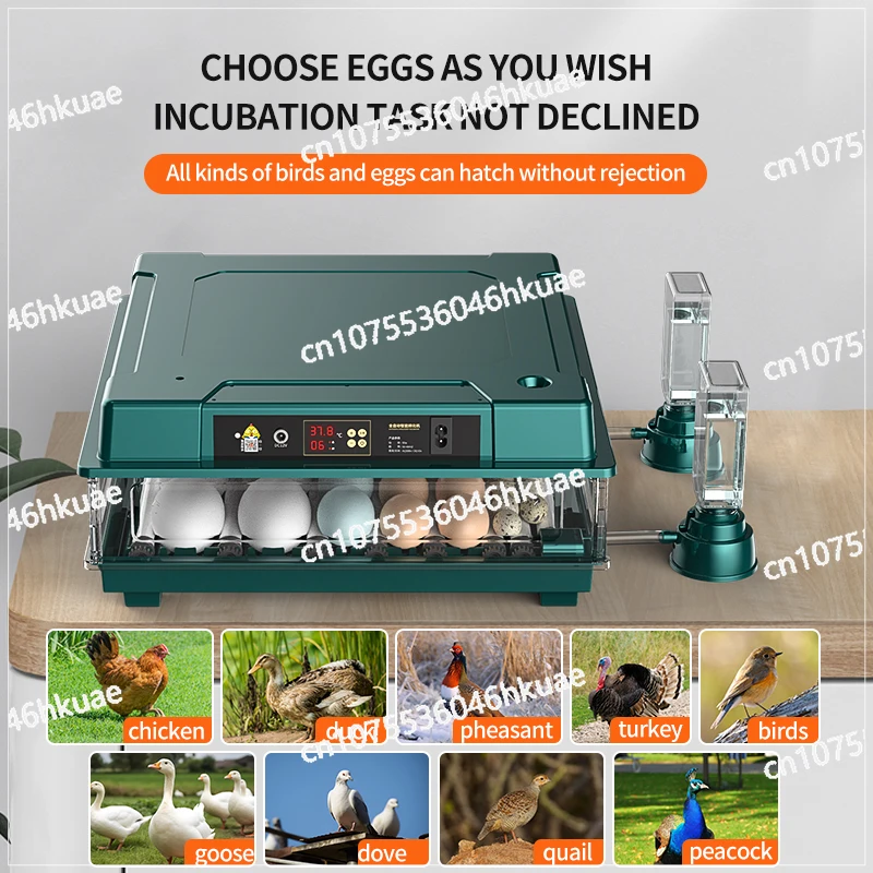 Add water bottle and Hatching days display for Quail Egg 12-30 Eggs Incubators, Egg Incubator with Automatic Egg Turning
Add water bottle and Hatching days display for Quail Egg 12-30 Eggs Incubators, Egg Incubator with Automatic Egg Turning