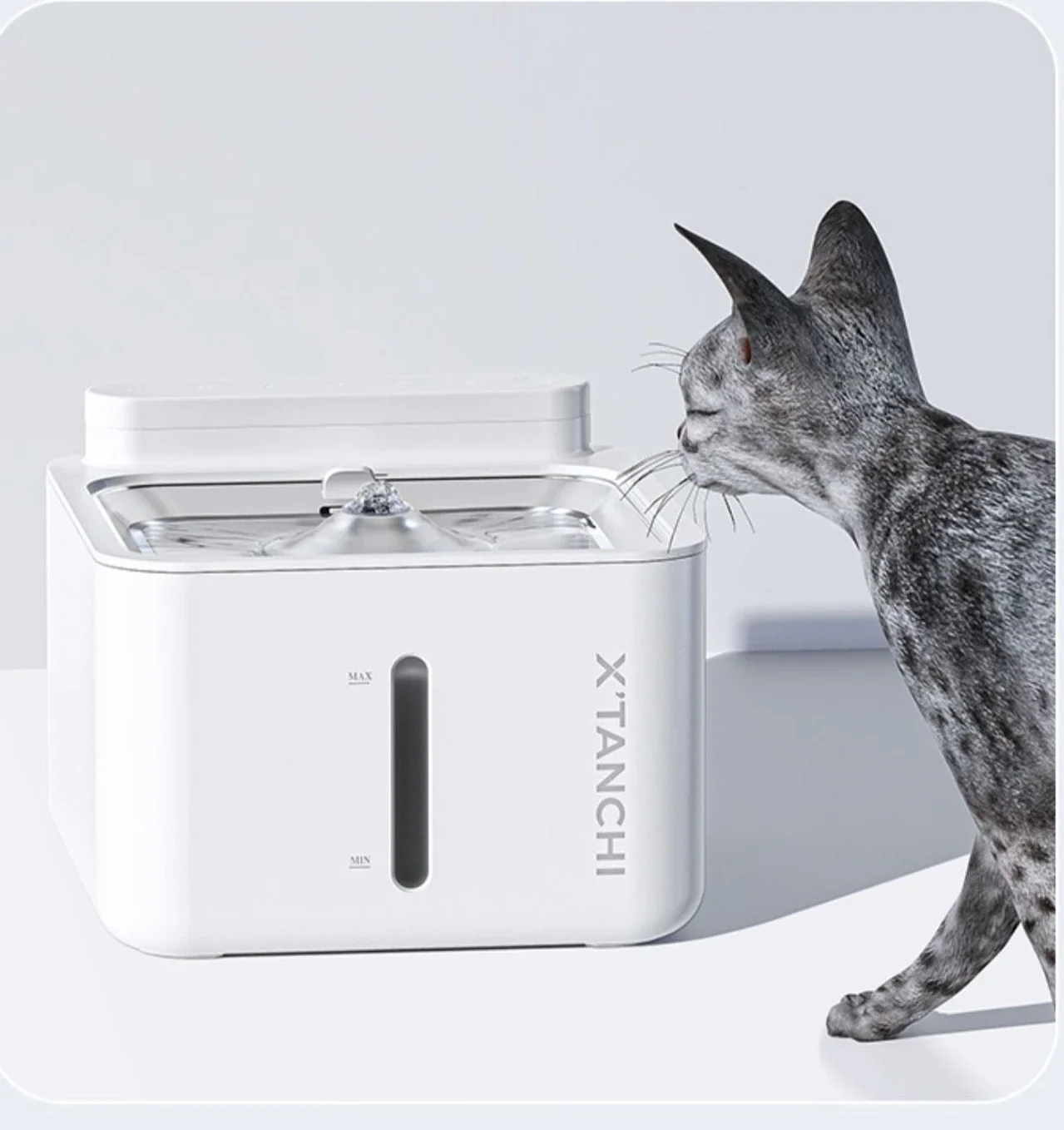 Y Fountain Sterilization and Disinfection Automatic Pet Drinker Constant Temperature Heating Flowing Water without Plug-in
Y Fountain Sterilization and Disinfection Automatic Pet Drinker Constant Temperature Heating Flowing Water without Plug-in