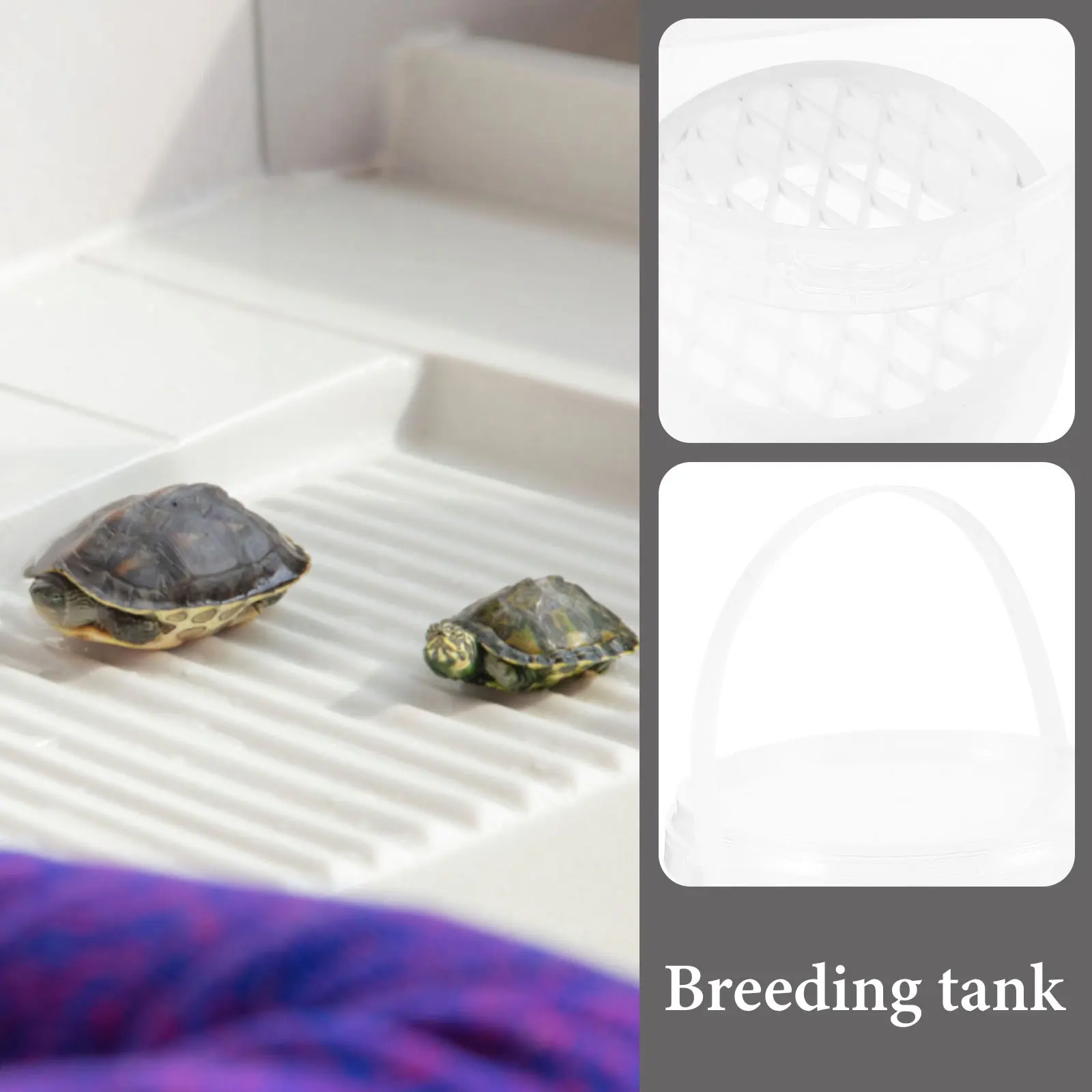 Round Turtle Isolation Box Small Tortoise Breeding Box Tank Divider Safe Breeding Nursery Holder Tank Divider Tortoise Separator 
Round Turtle Isolation Box Small Tortoise Breeding Box Tank Divider Safe Breeding Nursery Holder Tank Divider Tortoise Separator