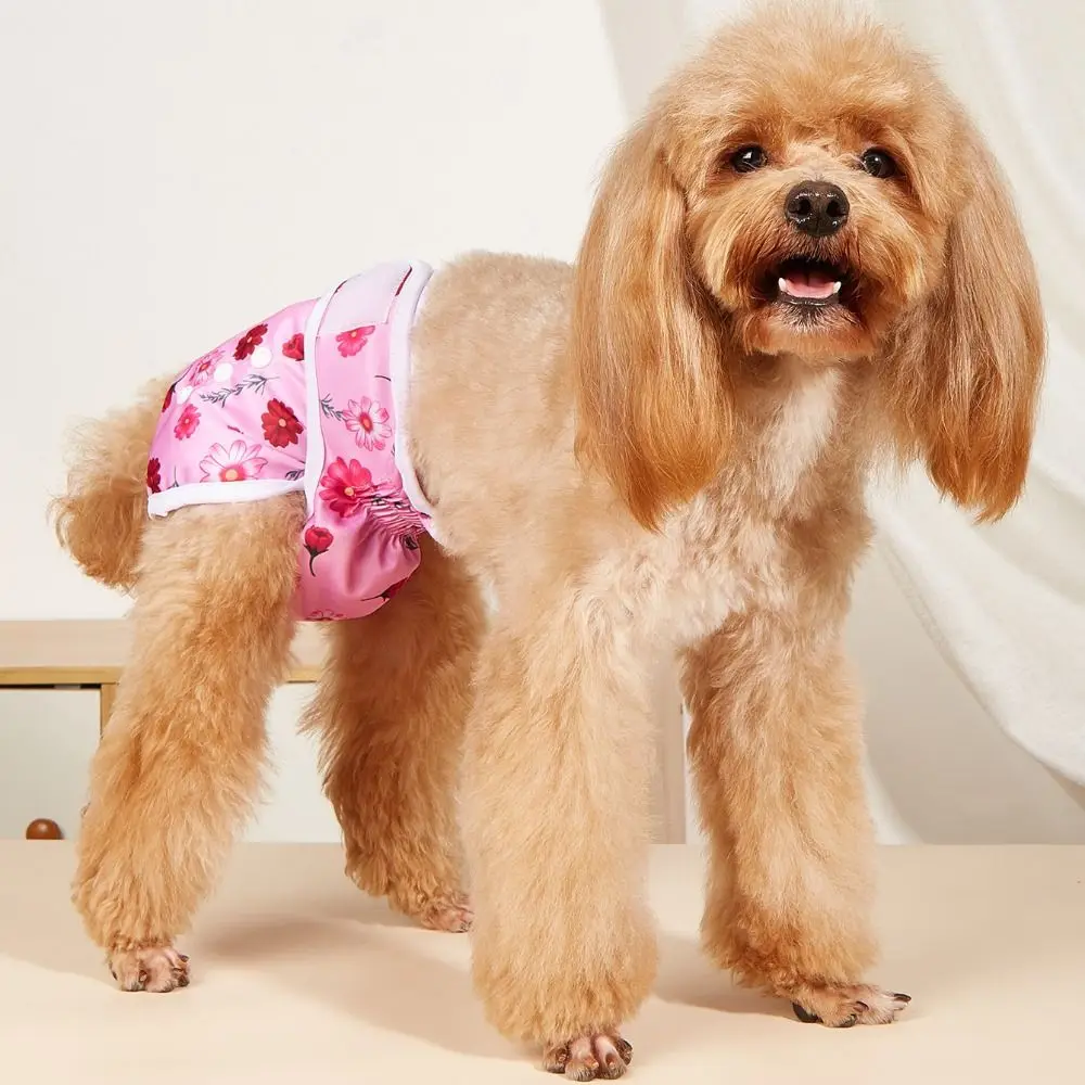 Cartoon Print Dog Physiological Pant Comfortable Dacron Dog Sanitary Panties Washable Adjustable Dog Menstrual Diapers
Cartoon Print Dog Physiological Pant Comfortable Dacron Dog Sanitary Panties Washable Adjustable Dog Menstrual Diapers