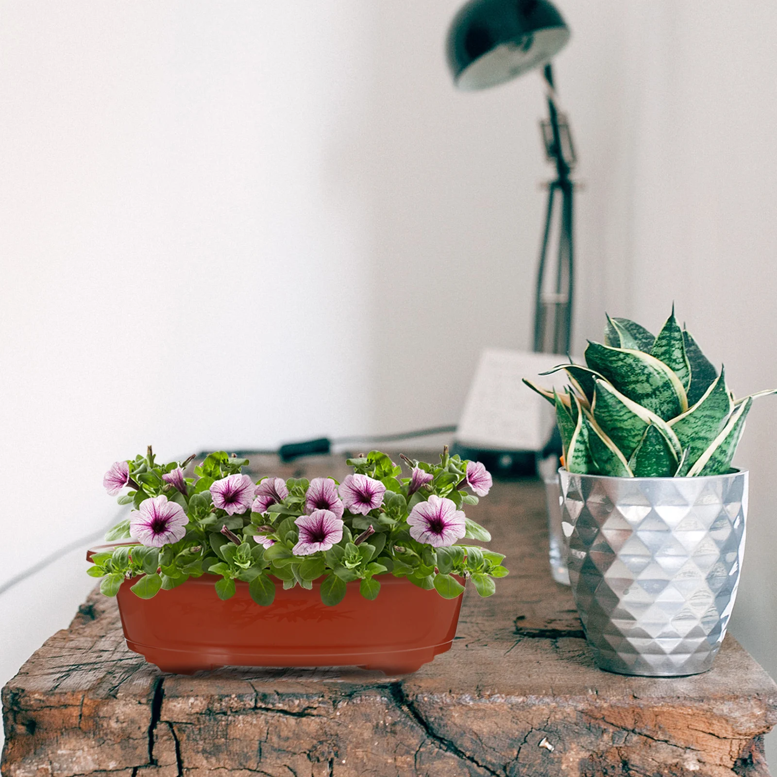 4Pcs Plastic Bonsai Flowerpots Durable Decorative Planter Pots for Indoor Succulents Small Plants Garden Use Flower Pot
4Pcs Plastic Bonsai Flowerpots Durable Decorative Planter Pots for Indoor Succulents Small Plants Garden Use Flower Pot