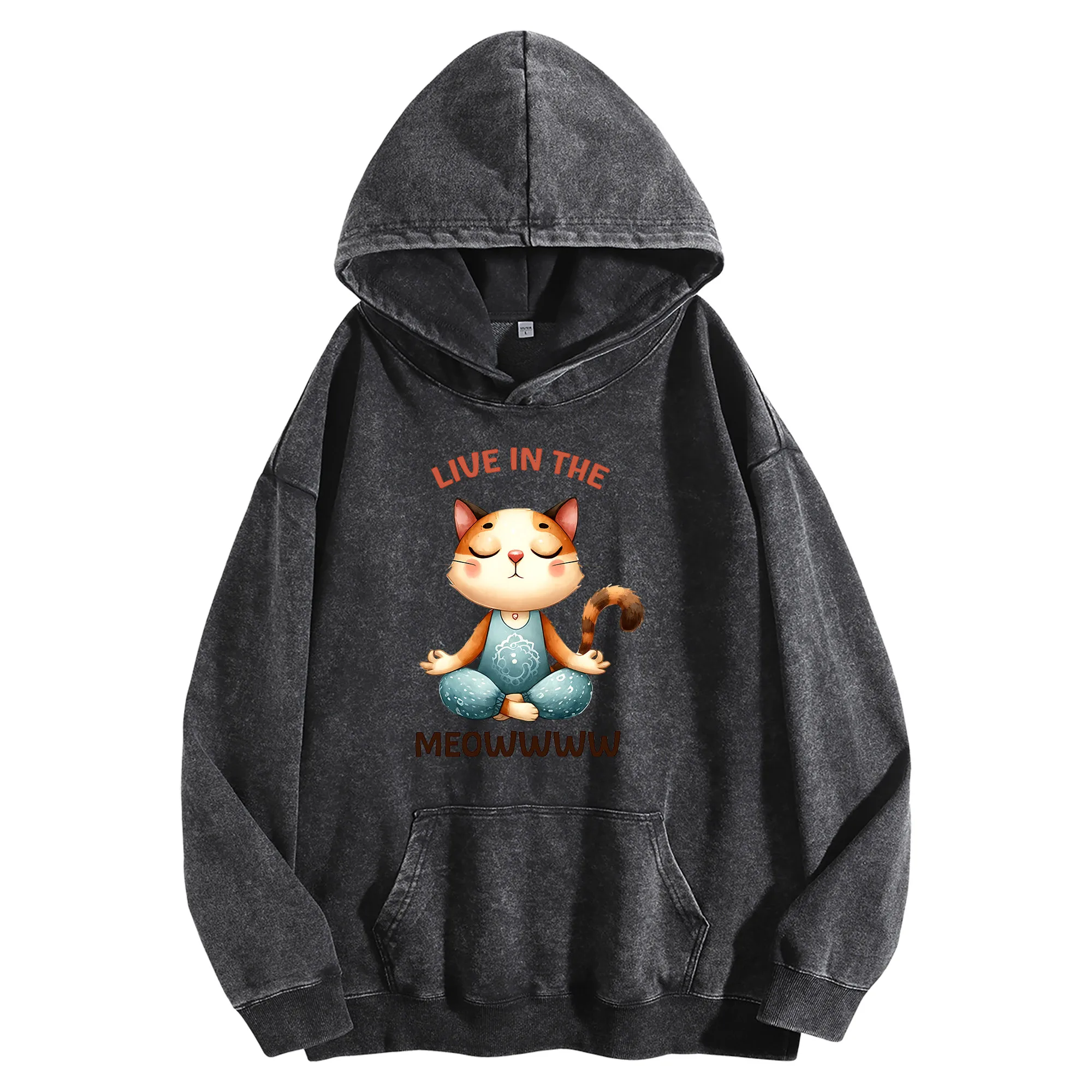 Винтажная потертая толстовка с рисунком Live In The Meow 400G, уличная одежда унисекс, пуловер большого размера, подарок на Рождество и Новый год
Винтажная потертая толстовка с рисунком Live In The Meow 400G, уличная одежда унисекс, пуловер большого размера, подарок на Рождество и Новый год