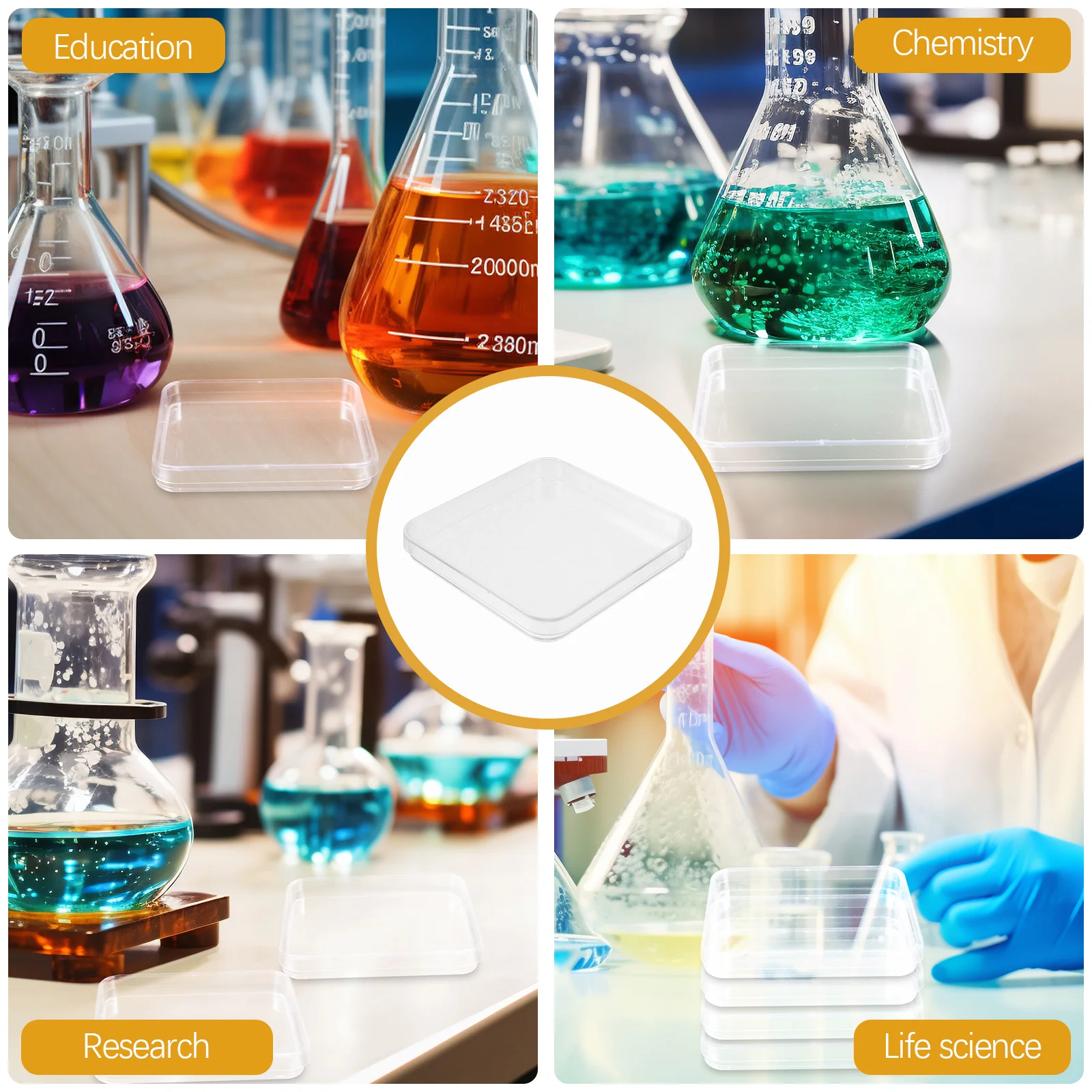 Petri Plate Clear Dishes Chemistry Cell Culture Empty Laboratory Science Equipment
Petri Plate Clear Dishes Chemistry Cell Culture Empty Laboratory Science Equipment