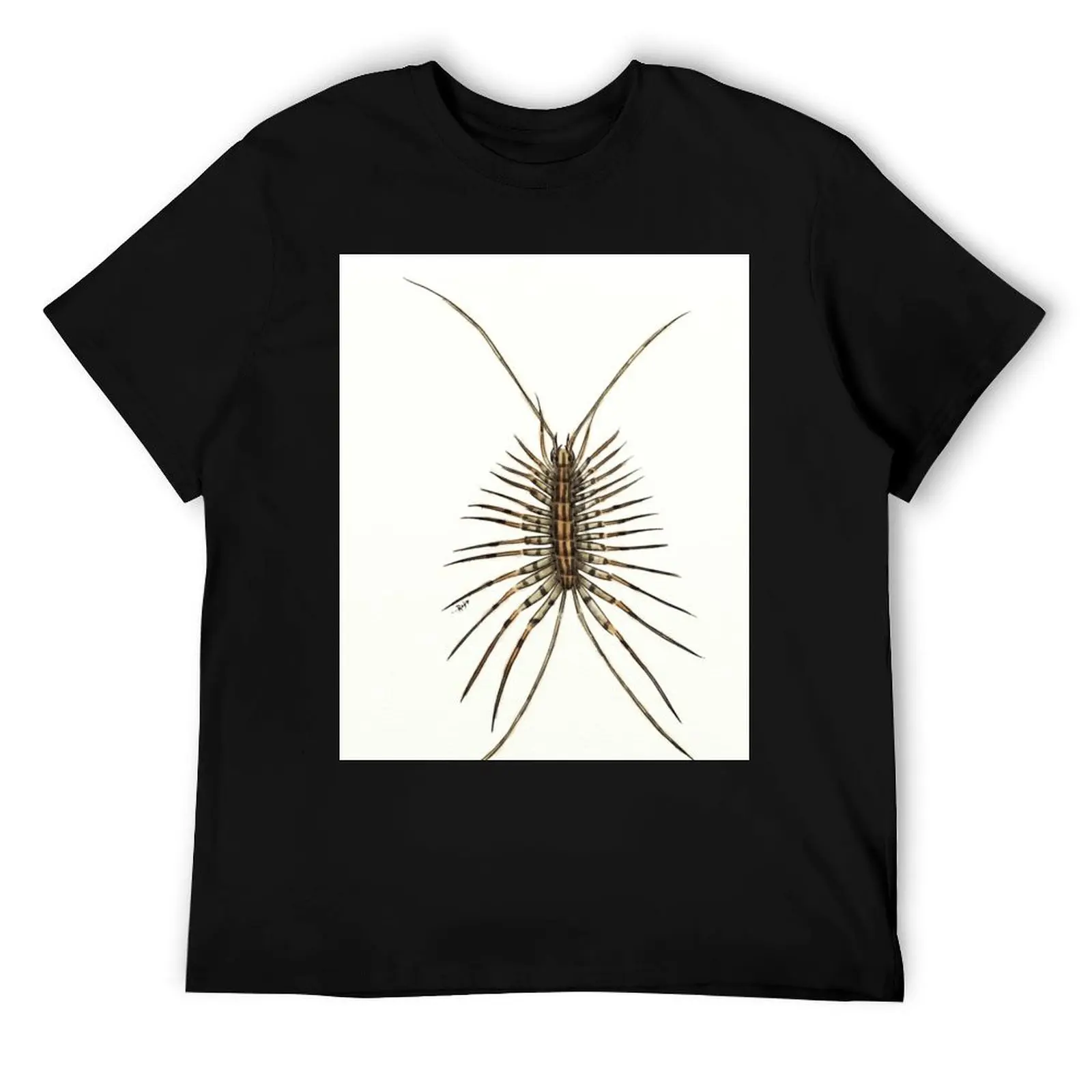 Scutigera coleoptrata (house centipede) T-Shirt t shirt man cotton t shirt man luxury t shirts for man pack cotton T-Shirt
Scutigera coleoptrata (house centipede) T-Shirt t shirt man cotton t shirt man luxury t shirts for man pack cotton T-Shirt