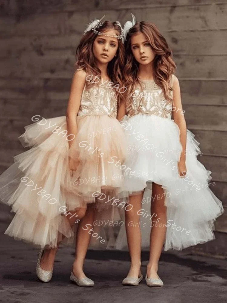 High Low Lace Princess Dress 2025 Baby Girls Tiered Tulle Flower Girl Dress for Wedding Party Kids Custom Made Birthday Gowns
High Low Lace Princess Dress 2025 Baby Girls Tiered Tulle Flower Girl Dress for Wedding Party Kids Custom Made Birthday Gowns