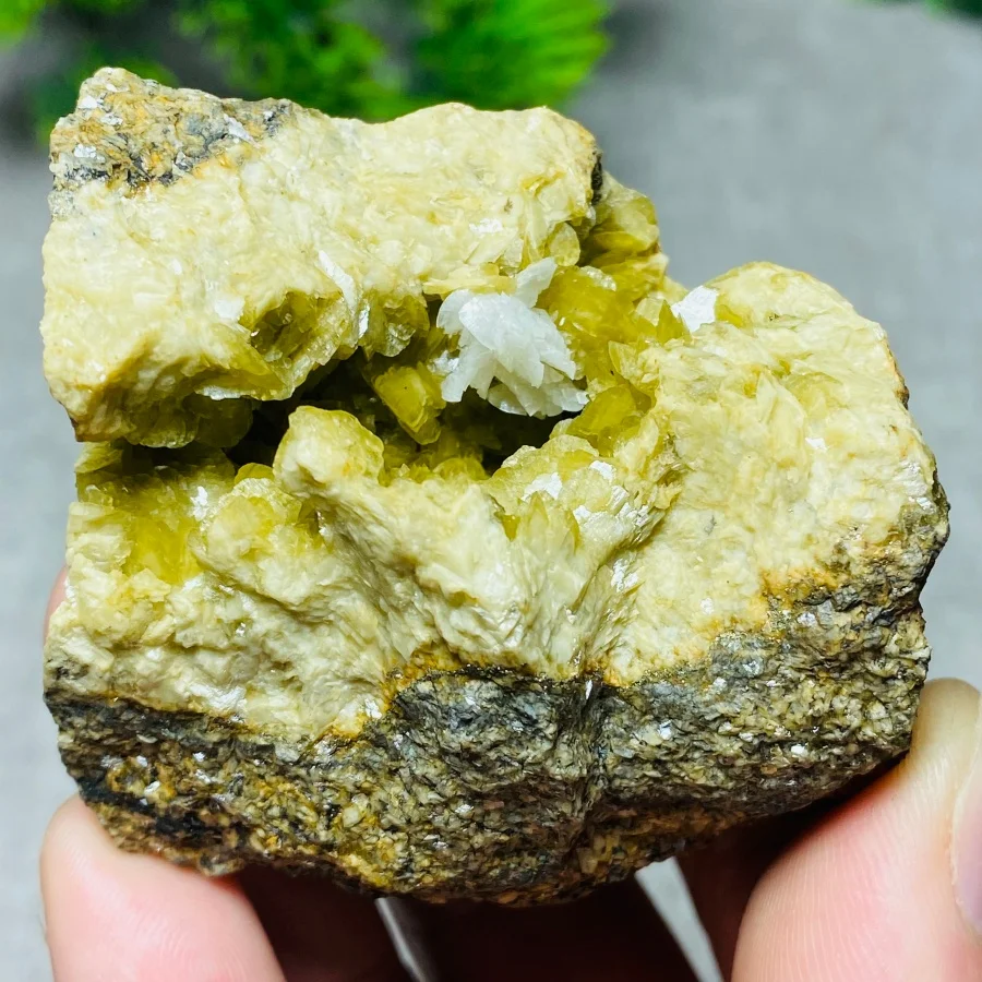 Natural Siderite White mica Quartz Crystal Symbiosis Rough Specimen Healing Teaching Stone for Home Decor
Natural Siderite White mica Quartz Crystal Symbiosis Rough Specimen Healing Teaching Stone for Home Decor