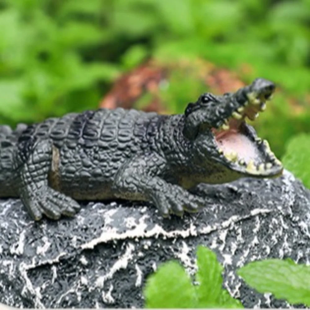 Имитация модели сельскохозяйственных животных, мини-фигурки животных для птицы, научные реалистичные фигурки животных, украшение для рабочего стола
Имитация модели сельскохозяйственных животных, мини-фигурки животных для птицы, научные реалистичные фигурки животных, украшение для рабочего стола