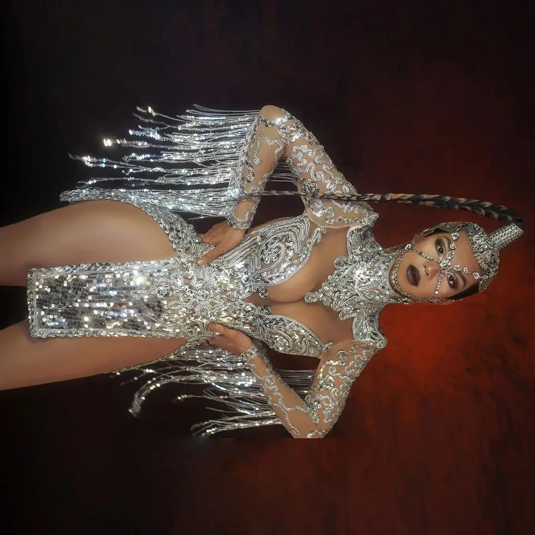 Shining Silver Sequins Tassel Party Dress Women Nightclub Deep V Perspective Fringes Dress High Slit Latin Dance Stage Dress
Shining Silver Sequins Tassel Party Dress Women Nightclub Deep V Perspective Fringes Dress High Slit Latin Dance Stage Dress