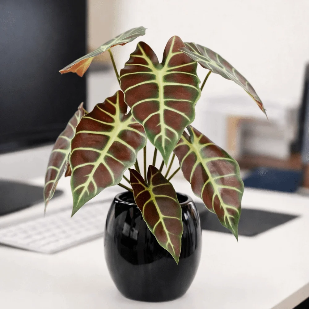 10-Head Artificial Peacock Leaf Plant Realistic Lifelike Fake Green Plant Handmade Plastic Simulation Greenery
10-Head Artificial Peacock Leaf Plant Realistic Lifelike Fake Green Plant Handmade Plastic Simulation Greenery
