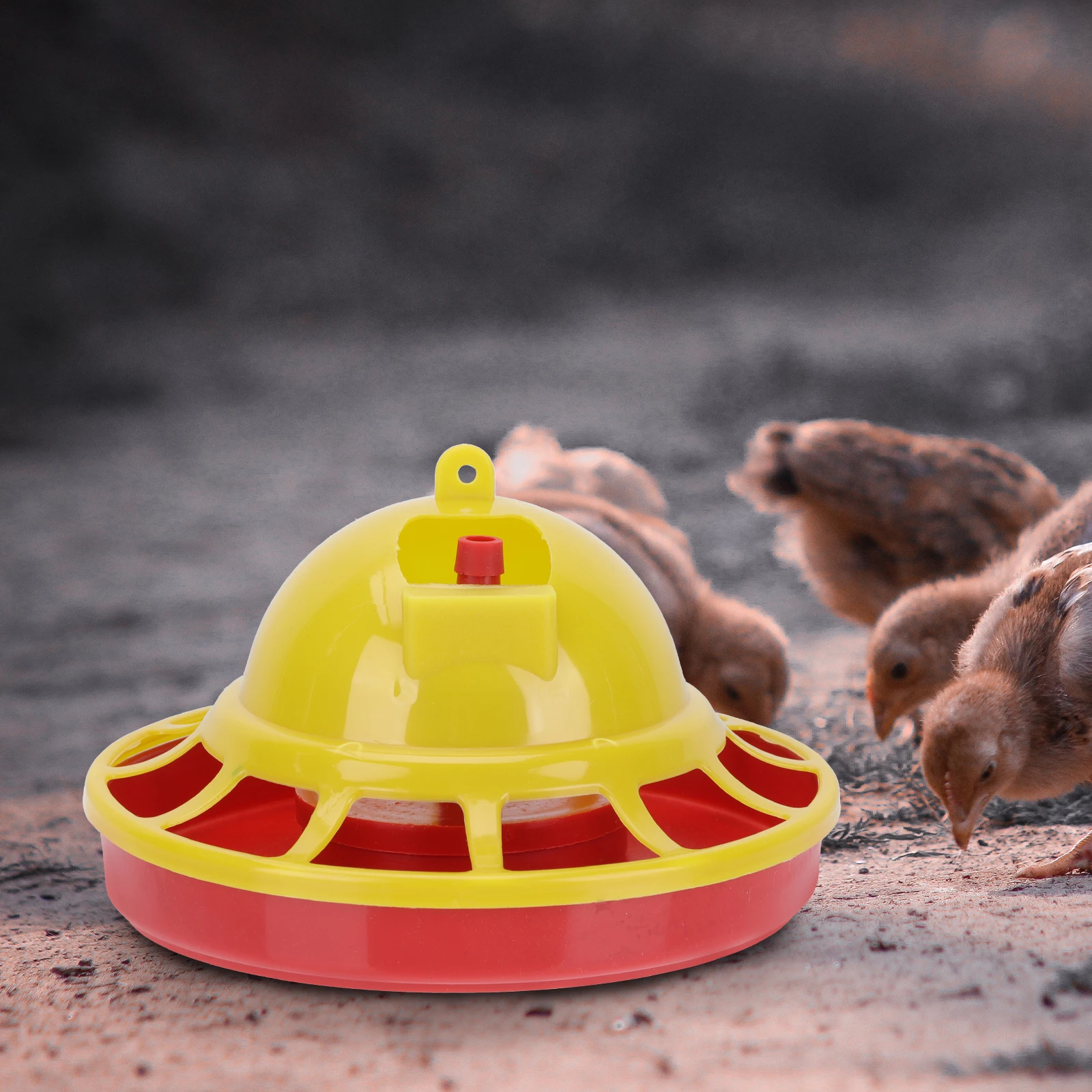 2Pcs Chick Durable Plastic Poultry Feeder Automatic Chicken Food Basin Easy Clean Pet Plastic Poultry Feeder Supplies
2Pcs Chick Durable Plastic Poultry Feeder Automatic Chicken Food Basin Easy Clean Pet Plastic Poultry Feeder Supplies