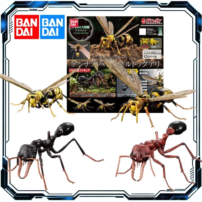 Bandai Gashapon Wildlife Encyclopedia Ultimate Wasp & Bull Ant Mini Action Figure Toys for Boys Girls Gift Collectible Model
Bandai Gashapon Wildlife Encyclopedia Ultimate Wasp & Bull Ant Mini Action Figure Toys for Boys Girls Gift Collectible Model