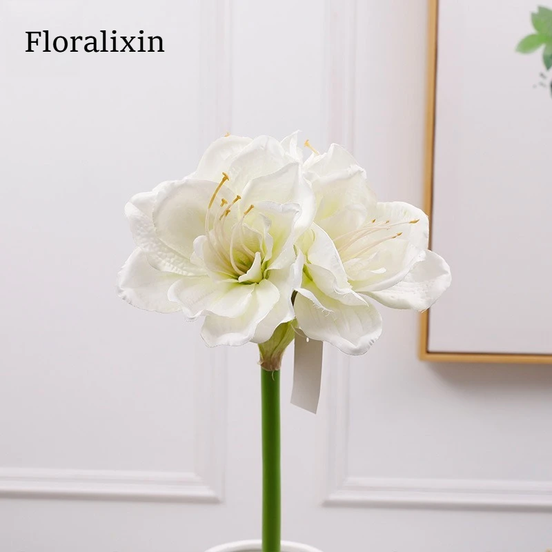 72 см 4 головки гиппеastrum искусственный цветок шелковая ткань отель дом свадебное украшение цветочная композиция Clivia поддельный цветочный орнамент
72 см 4 головки гиппеastrum искусственный цветок шелковая ткань отель дом свадебное украшение цветочная композиция Clivia поддельный цветочный орнамент
