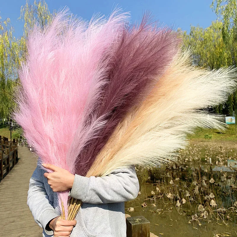 1PC Artificial Pampas Grass Branch Flowers Vase Decorations Fake Plants Wedding Arch Wall Christmas Home Decor Faux Reed Flower
1PC Artificial Pampas Grass Branch Flowers Vase Decorations Fake Plants Wedding Arch Wall Christmas Home Decor Faux Reed Flower