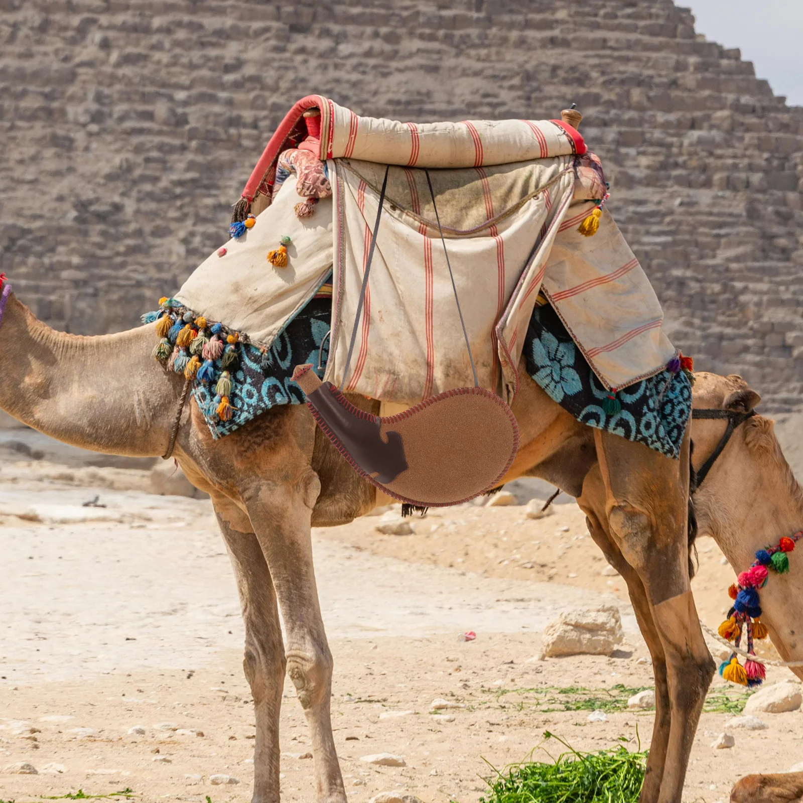 Water Bag Traditional Bota Bag for Wine Portable Liquid Storage Pouch Desert Canteen with Strap for Camping Hunting
Water Bag Traditional Bota Bag for Wine Portable Liquid Storage Pouch Desert Canteen with Strap for Camping Hunting