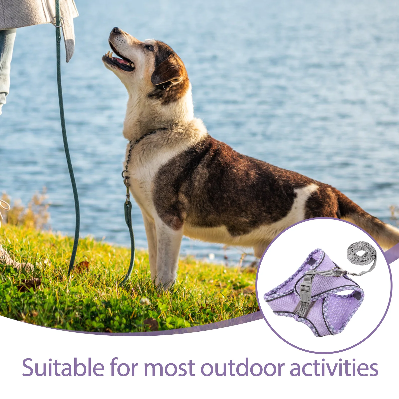 1Set Pet Dog Harness Leash Set Small Medium Adjustable Wear-Resistant Lightweight Outdoor Walking Harness Dog Harnesses
1Set Pet Dog Harness Leash Set Small Medium Adjustable Wear-Resistant Lightweight Outdoor Walking Harness Dog Harnesses