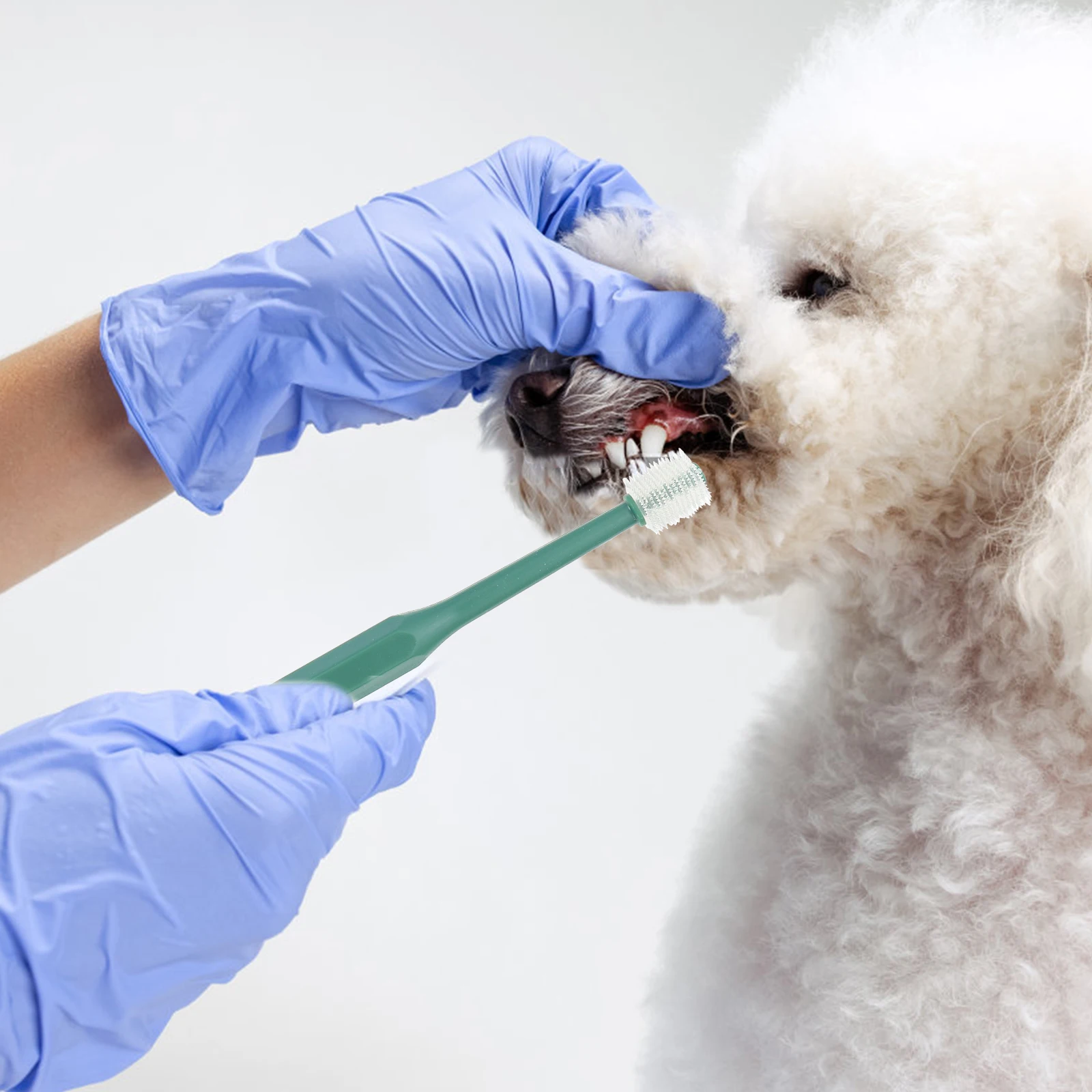2Pcs Pet Toothbrush for Dogs Cats al Care Tools 360Degree Brush Soft Bristles AntiSlip H Dental Health Accessories
2Pcs Pet Toothbrush for Dogs Cats al Care Tools 360Degree Brush Soft Bristles AntiSlip H Dental Health Accessories