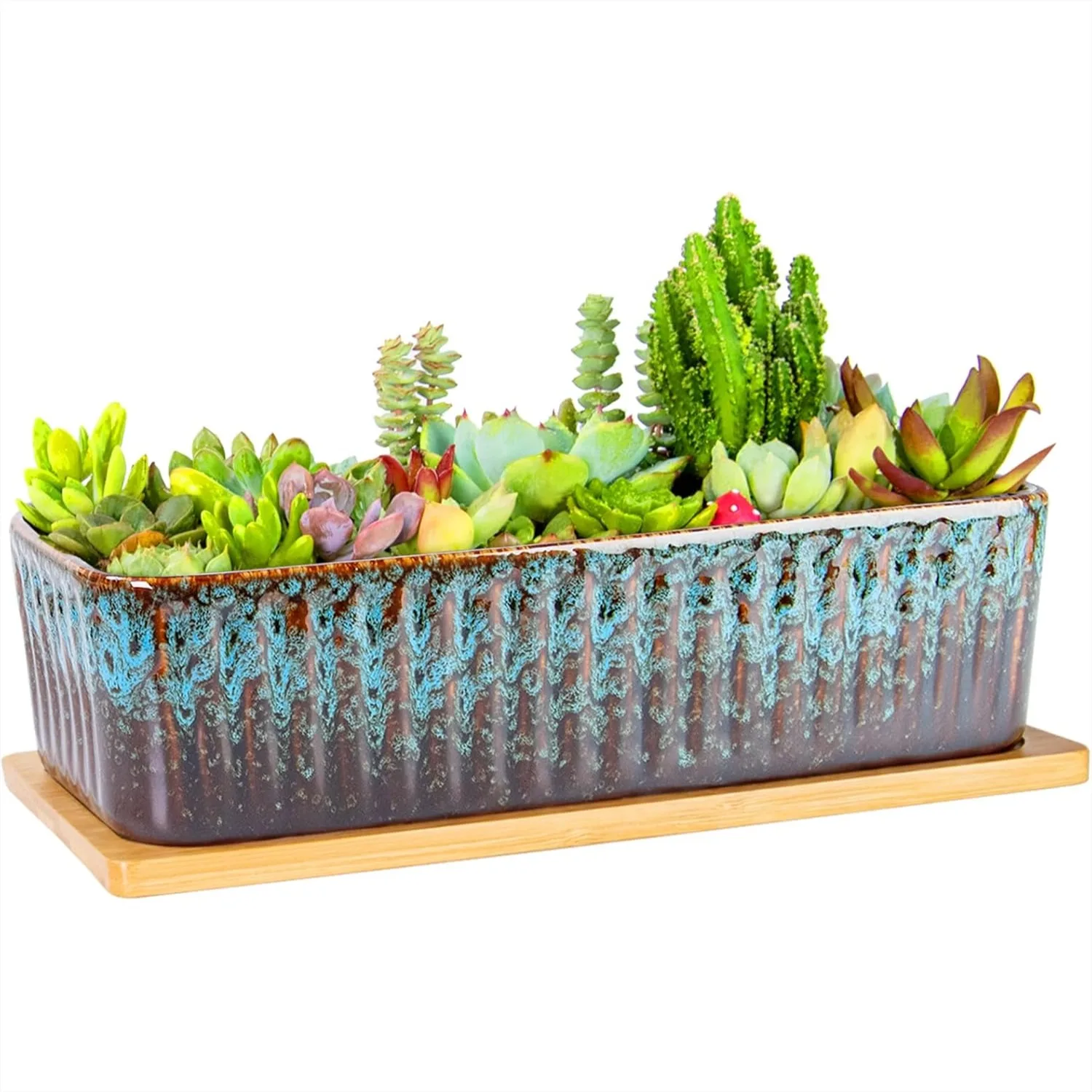 Rectangle Succulent Planter with Drainage Tray, 12 Inch Ceramic Window Sill Pot for Indoor Cactus and Home Decor
Rectangle Succulent Planter with Drainage Tray, 12 Inch Ceramic Window Sill Pot for Indoor Cactus and Home Decor