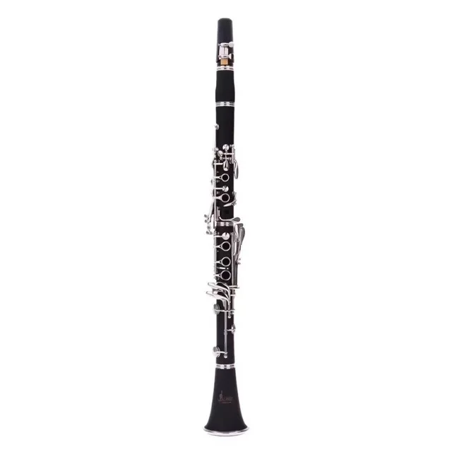 Directly from the manufacturer: B-flat 17-key ABS clarinet for students and adults, exam-grade musical instrument set
Directly from the manufacturer: B-flat 17-key ABS clarinet for students and adults, exam-grade musical instrument set