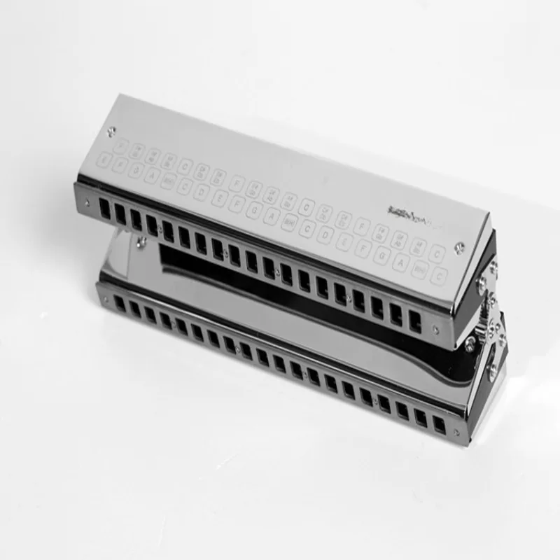 Advanced performance diptych bass harmonica Playing performance harmonica