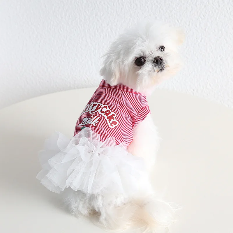 Mutihome 2026 Pet Clothes Dress Dog T-shirt Cherry Spring/summer Dog Cat Clothing Pet Clothes
Mutihome 2026 Pet Clothes Dress Dog T-shirt Cherry Spring/summer Dog Cat Clothing Pet Clothes