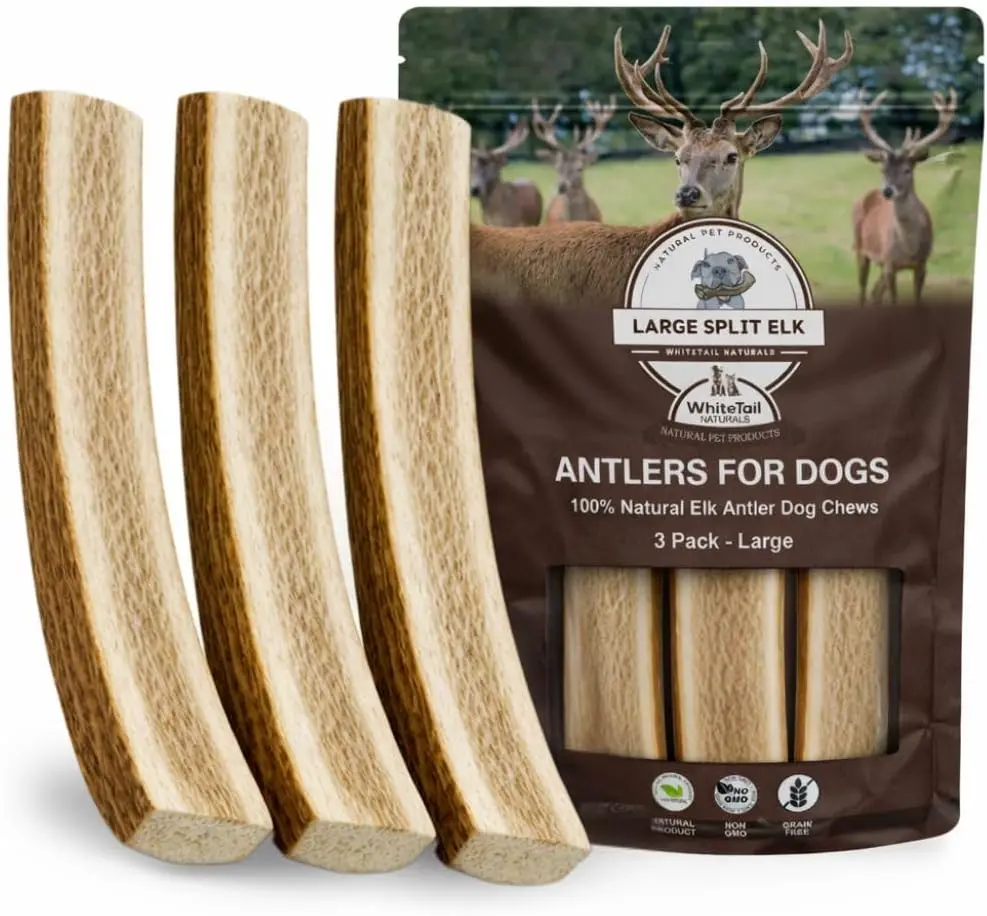 Large Split Elk Antlers for Dogs, 6-7 Inch, 3 Pack, Natural Long Lasting Chew Bone for Aggressive Chewers
Large Split Elk Antlers for Dogs, 6-7 Inch, 3 Pack, Natural Long Lasting Chew Bone for Aggressive Chewers