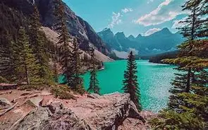 1PCS 37mm 25T Metal Extension Steering Servo Arm Horn for RC Car Crawler Parts
1PCS 37mm 25T Metal Extension Steering Servo Arm Horn for RC Car Crawler Parts