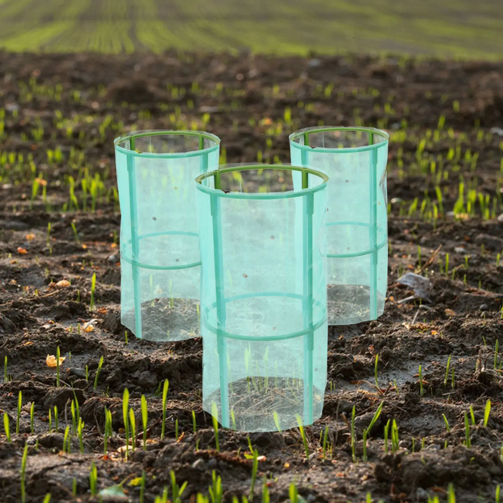 4Sets Garden Plant Protective Cage - Strong Support Frame with Plastic Film Cover - All Season Windproof and Frost Resistant
4Sets Garden Plant Protective Cage - Strong Support Frame with Plastic Film Cover - All Season Windproof and Frost Resistant