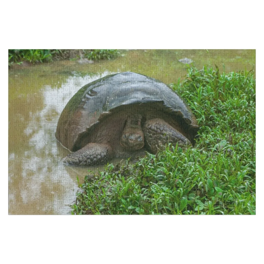 Galapagos Islands Giant Tortoise Turtle Jigsaw Puzzle Personalized Wooden Name Woodens For Adults Customizable Gift Puzzle
Galapagos Islands Giant Tortoise Turtle Jigsaw Puzzle Personalized Wooden Name Woodens For Adults Customizable Gift Puzzle