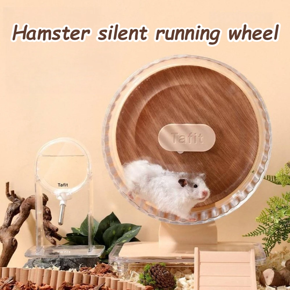 Transparent Golden Hamster Running Exercise Wheels 22/26cm Silent Hamster Wheel Smooth Small Animals Accessories for Hamsters
Transparent Golden Hamster Running Exercise Wheels 22/26cm Silent Hamster Wheel Smooth Small Animals Accessories for Hamsters