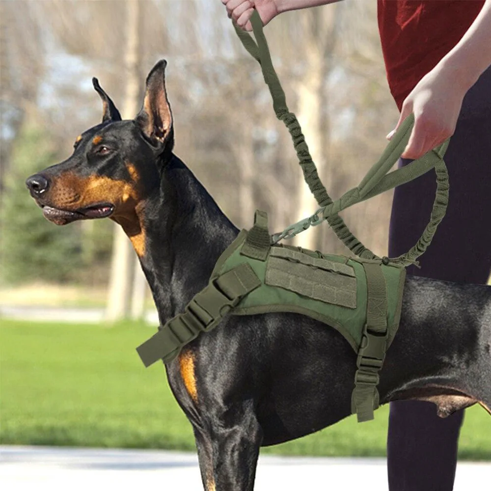 Military Tactical Dog Vest Harness Leash Set with Adjustable Molle Straps Ideal for Large Dogs Training Hiking & Outdoor
Military Tactical Dog Vest Harness Leash Set with Adjustable Molle Straps Ideal for Large Dogs Training Hiking & Outdoor