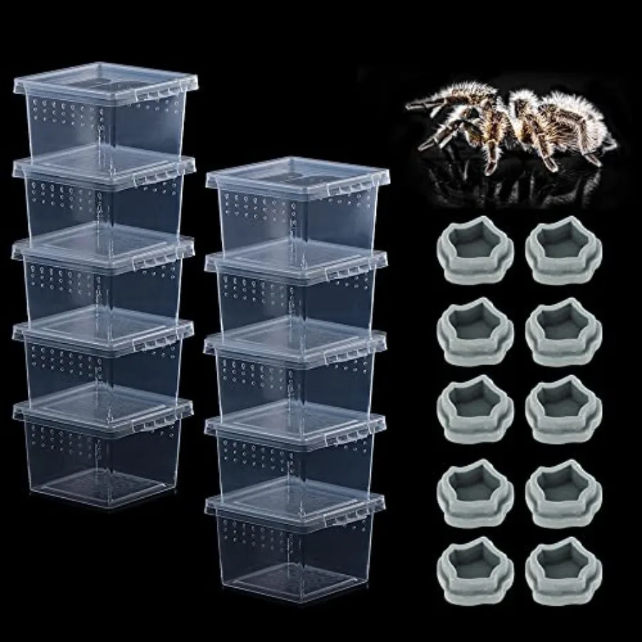 10 Pack Small Size Spider Terrariums Breeding Box Hatching Container Insect Scorpion Centipede Acrylic Breeding Box with 10 Pcs
10 Pack Small Size Spider Terrariums Breeding Box Hatching Container Insect Scorpion Centipede Acrylic Breeding Box with 10 Pcs