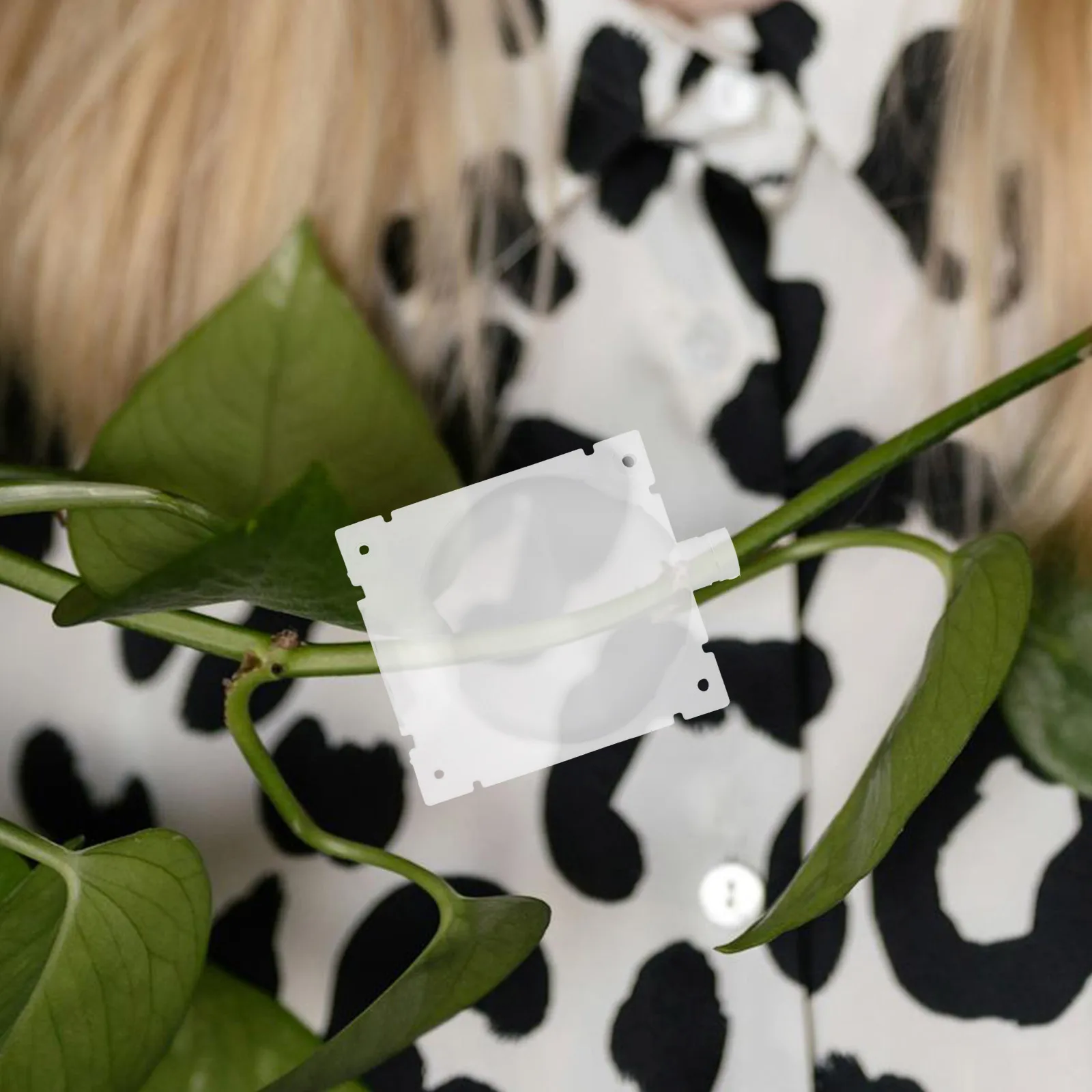 4pcs High Pressure Propagation Box Plant Rooting Ball Grafting Tool Air Layering Kit Tree Cloning Device Gardening Accessories
4pcs High Pressure Propagation Box Plant Rooting Ball Grafting Tool Air Layering Kit Tree Cloning Device Gardening Accessories