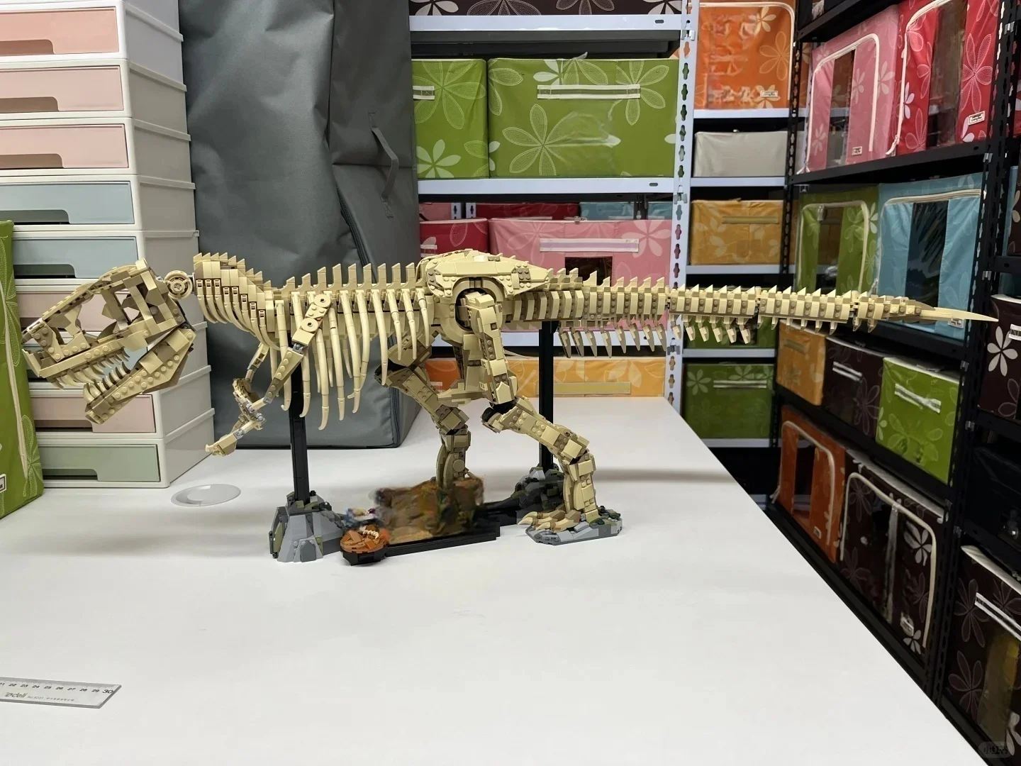 New MOC Dinosaur Skeleton Fossil Building Model, Home Decor Ornament, Holiday Gift
New MOC Dinosaur Skeleton Fossil Building Model, Home Decor Ornament, Holiday Gift