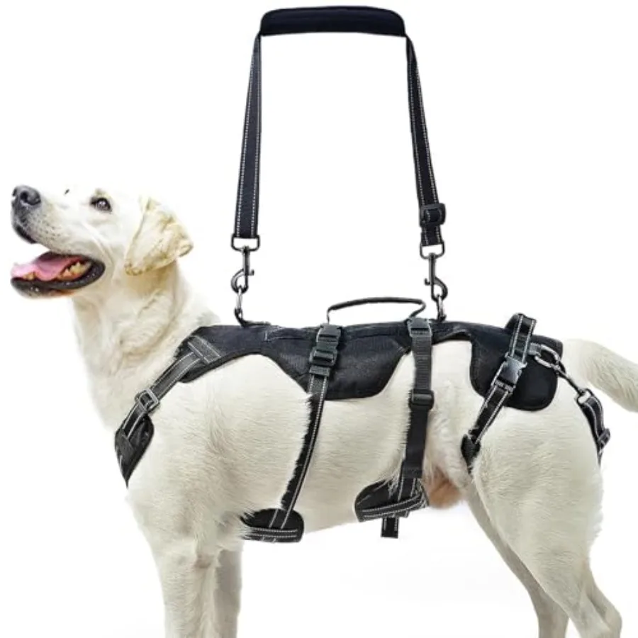 Dog Lift Harness for Medium Large Sized Dog Rehabilitation Sling for Hind Leg Support Multifunctional Mobility Assistance Harne
Dog Lift Harness for Medium Large Sized Dog Rehabilitation Sling for Hind Leg Support Multifunctional Mobility Assistance Harne