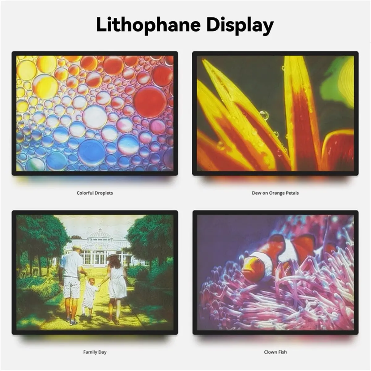 A56K For Lab 3D Printer Lithophane LED Backlight Board Kit USB C DIY Lithophane Photo Model Bambulabs 6pack
A56K For Lab 3D Printer Lithophane LED Backlight Board Kit USB C DIY Lithophane Photo Model Bambulabs 6pack