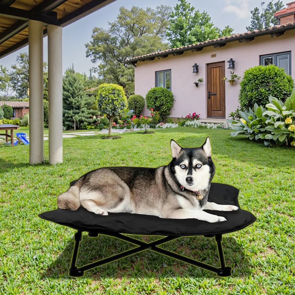 Elevated Pet Cot Outdoor Breathable - Removable Plush Pad & Carrying Bag Raised Dog Camping Bed
Elevated Pet Cot Outdoor Breathable - Removable Plush Pad & Carrying Bag Raised Dog Camping Bed