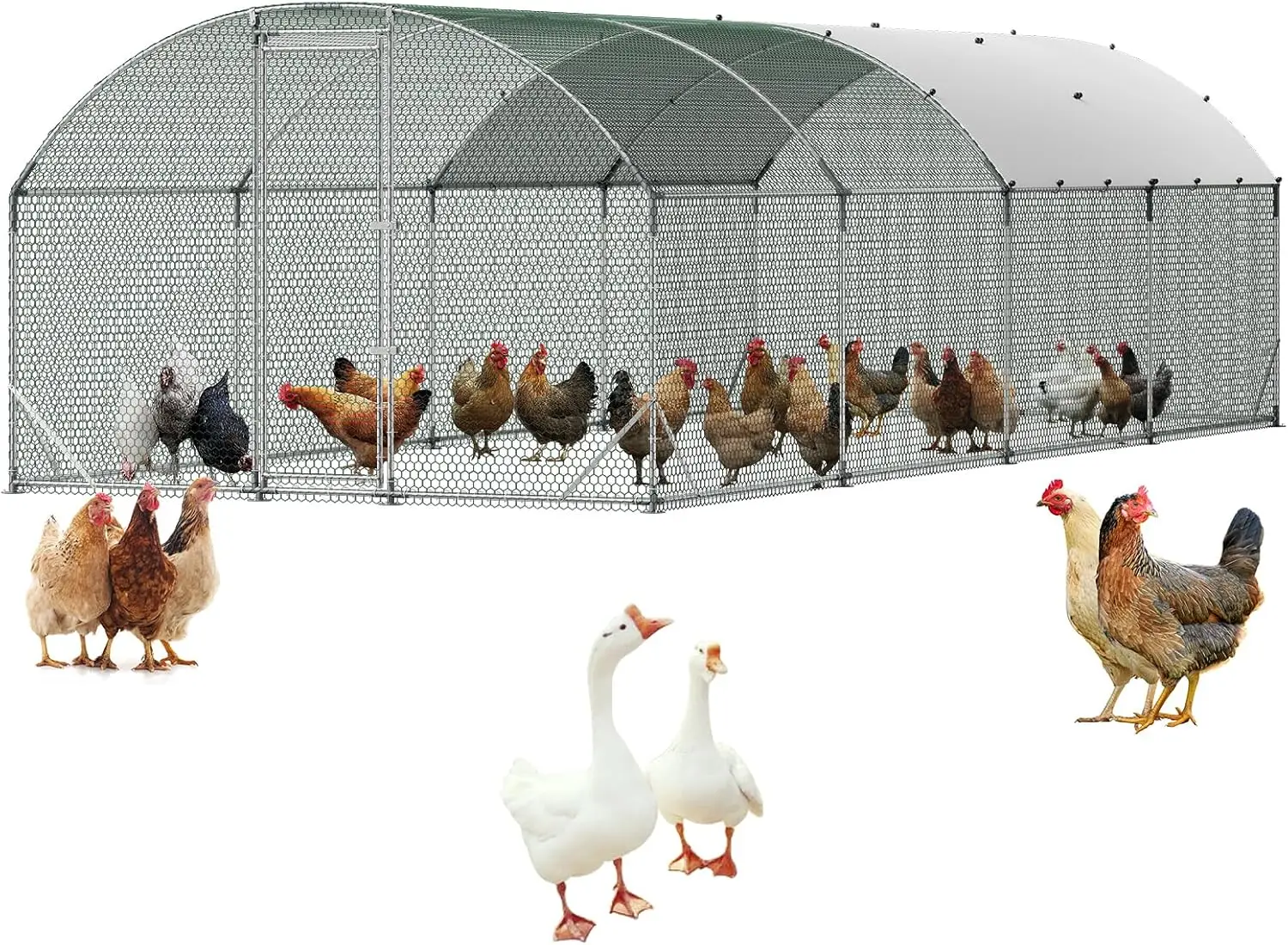 Large Metal Chicken Coop, 9 x 25 x 6.6 ft, Walk-in Chicken Run House with Waterproof Cover & Sturdy Frame, Dome Roof Poultry Cag
Large Metal Chicken Coop, 9 x 25 x 6.6 ft, Walk-in Chicken Run House with Waterproof Cover & Sturdy Frame, Dome Roof Poultry Cag