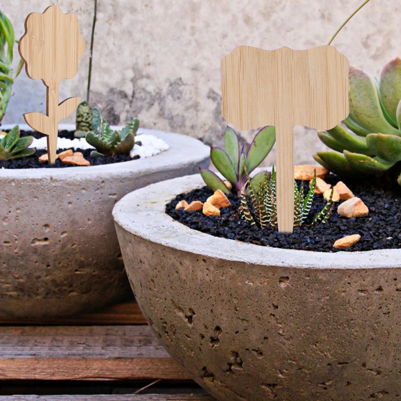 40 шт. бамбуковые этикетки для растений, полированные, гладкие, безопасные для рук, идеально подходят для детского сада, цветочные горшки, украшение двора
40 шт. бамбуковые этикетки для растений, полированные, гладкие, безопасные для рук, идеально подходят для детского сада, цветочные горшки, украшение двора