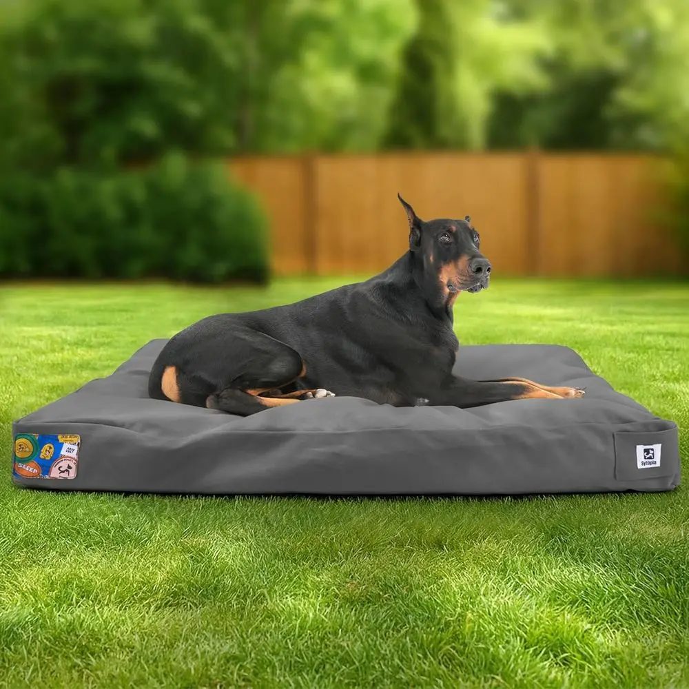 42 Durable Canvas Dog Bed for Large Breeds, Washable Cover, Suitable for Indoor & Outdoor Use
42 Durable Canvas Dog Bed for Large Breeds, Washable Cover, Suitable for Indoor & Outdoor Use