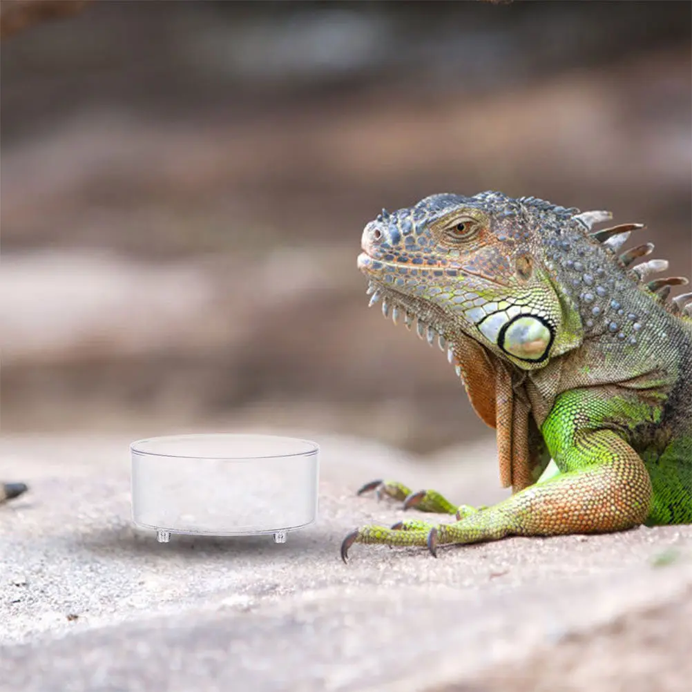 10Pcs Acrylic Reptile Food Water Dish Bowl for Small Reptiles Lizards Tortoises Snakes Decorative Non-Spill Feeding Container
10Pcs Acrylic Reptile Food Water Dish Bowl for Small Reptiles Lizards Tortoises Snakes Decorative Non-Spill Feeding Container